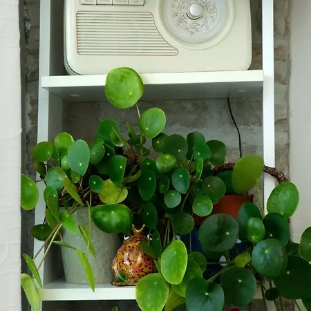 Amazing Waterfront Бол